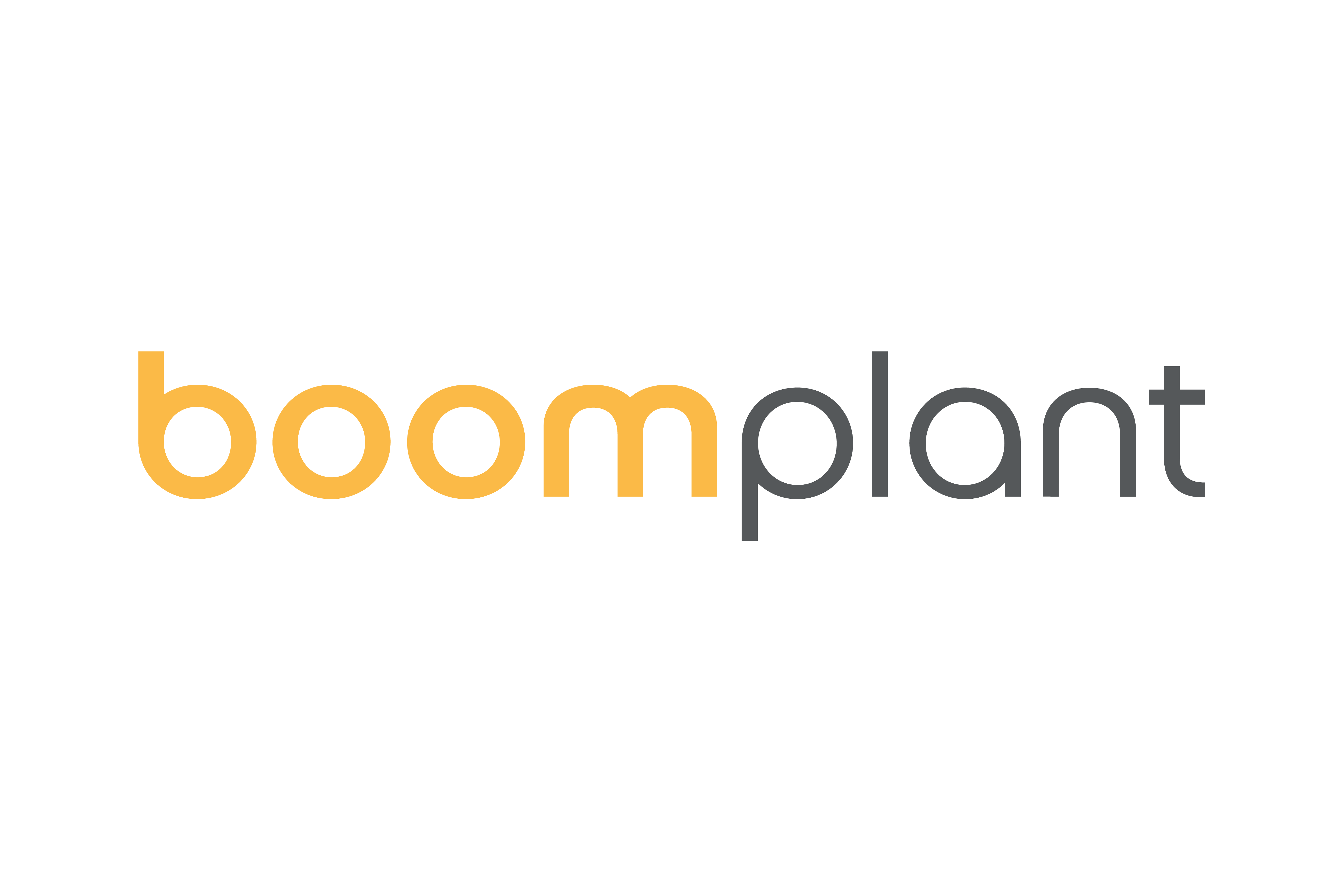 Boom Plant